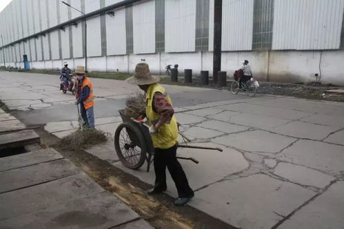 打頭陣 當先鋒 勇?lián)敗C合服務公司創(chuàng)建清潔工廠在行動